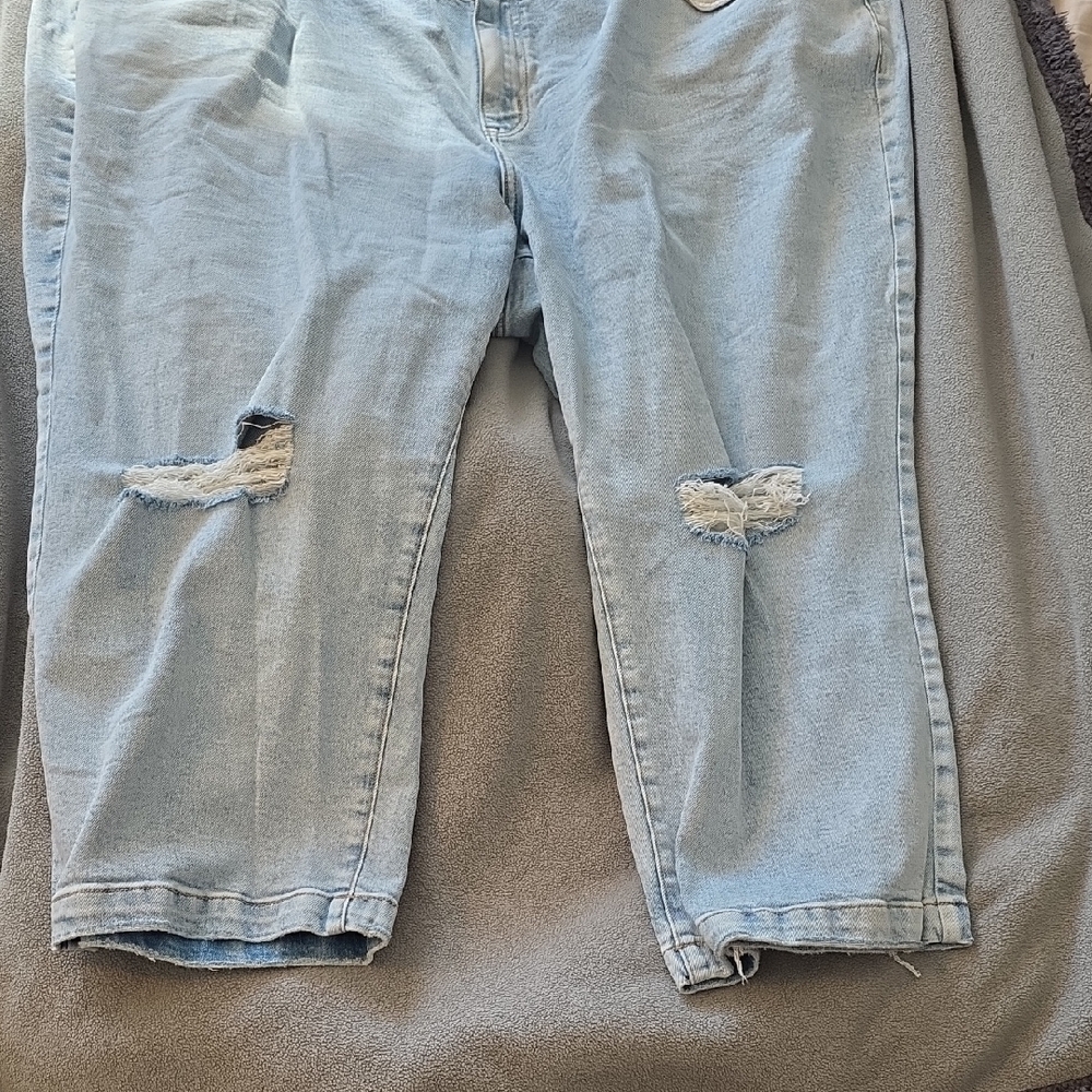 Lane Bryant Light Blue Distressed Boyfriend Jeans